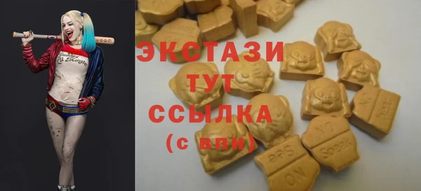 СК Вязьма