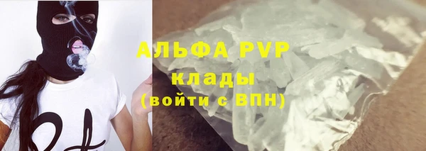 СК Вязьма
