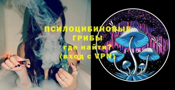 прущая мука Вязники