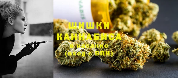 СК Вязьма