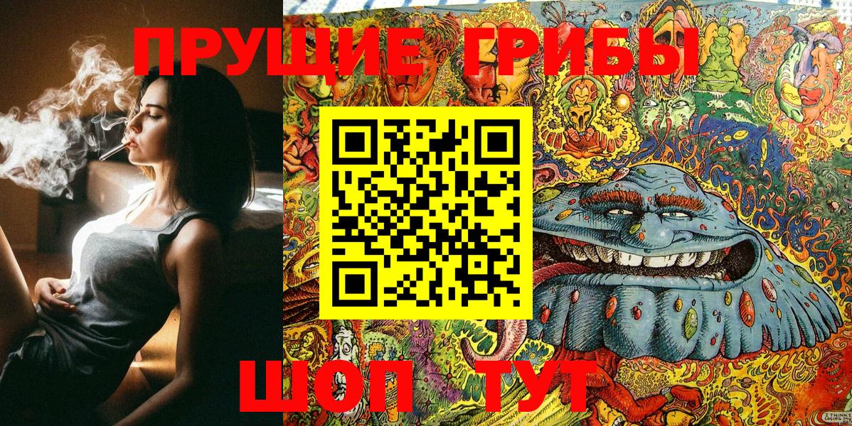 Гай  Галлюциногенные грибы Psilocybe  Вход с VPN  Галлюциногенные грибы MAGIC MUSHROOMS 