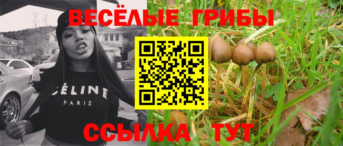 Галлюциногенные грибы Magic Shrooms Гай