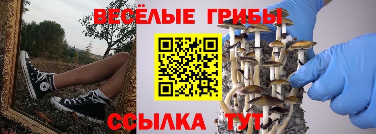 МДМА  Канабис  Гай  МЕФ  Вход с VPN  ГАШ  Меф МЯУ МЯУ кристаллы 